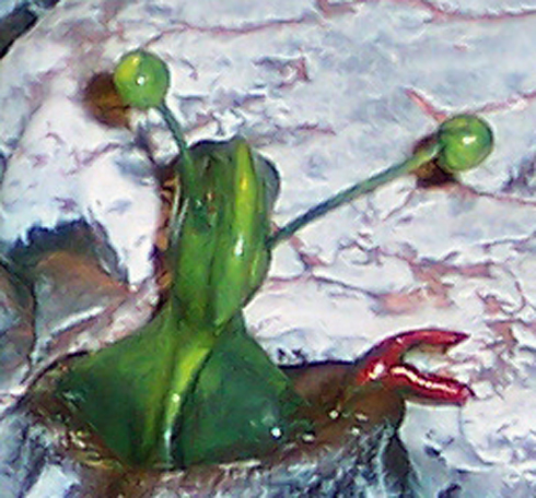 6b